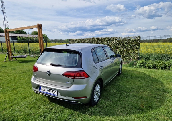 Volkswagen Golf cena 72000 przebieg: 32000, rok produkcji 2017 z Ciechanowiec małe 742